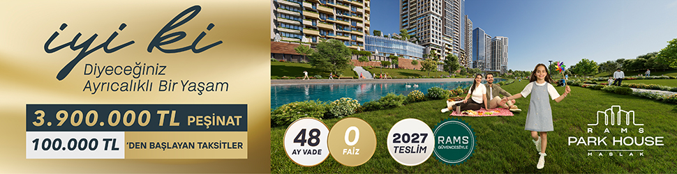 Google search engine